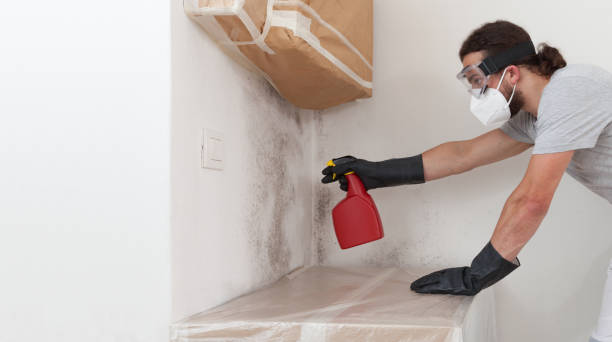 Professional Mold Remediation technician working in Sherrelwood, CO
